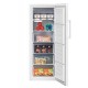 Морозильный шкаф Beko RFSK215T01W