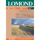 Бумага Lomond для струйной печати А4, 100 г/м2, 100 листов, матовая двусторонняя (0102002)