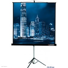 Экран Lumien на штативе Master View 203x153см Matte White (LMV-100107)