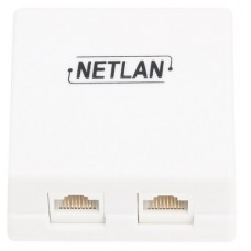 Розетка настенная компьютерная RJ45 (8P8C) Netlan кат. 5e двойная EC-UWO-2-UD2-WT-10