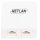 Розетка настенная компьютерная RJ45 (8P8C) Netlan кат. 5e двойная EC-UWO-2-UD2-WT-10
