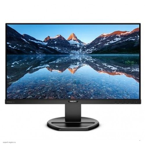 Монитор 25" Philips 252B9 (252B9/00)