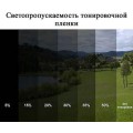 Тонировка съемная