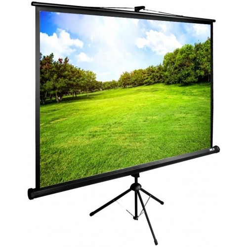 Экран напольный Cactus TriExpert 100x200см (CS-PSTE-200Х150-BK)