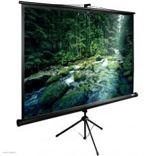 Экран напольный Cactus TriExpert 220x165см (CS-PSTE-220Х165-BK)