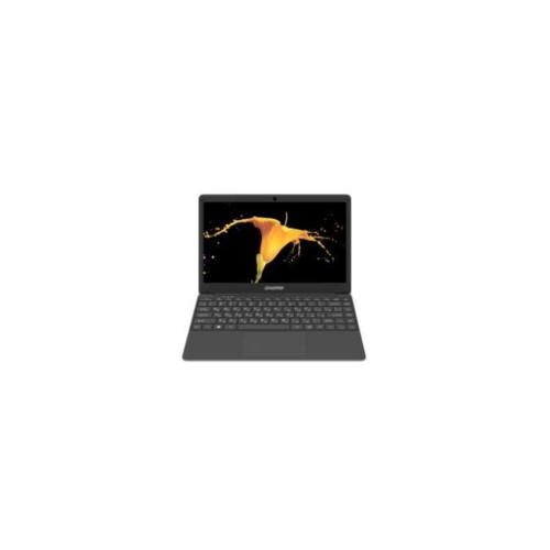 Ноутбук 13.3" DIGMA EVE 305 черный/серебристый (ES3033EW)