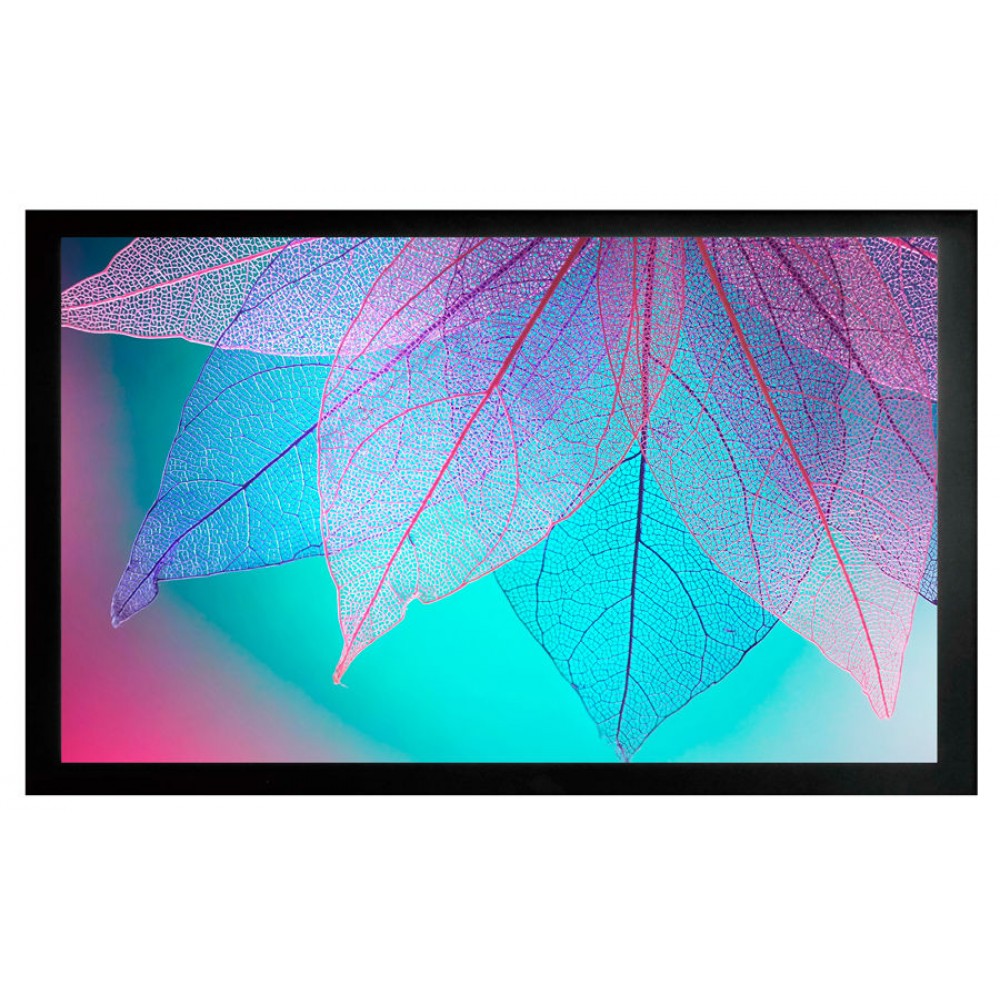 Cactus frameexpert. Cactus CS-psfre-220x124. Экран Cactus frameexpert CS-psfre-240x135, 240х135 см, 16:9, настенный. Экран Cactus CS-PSFLE-160x90. Cactus CS-psfre-200x113.