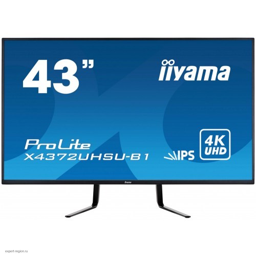 Монитор 43" Iiyama ProLite X4372UHSU-B1 