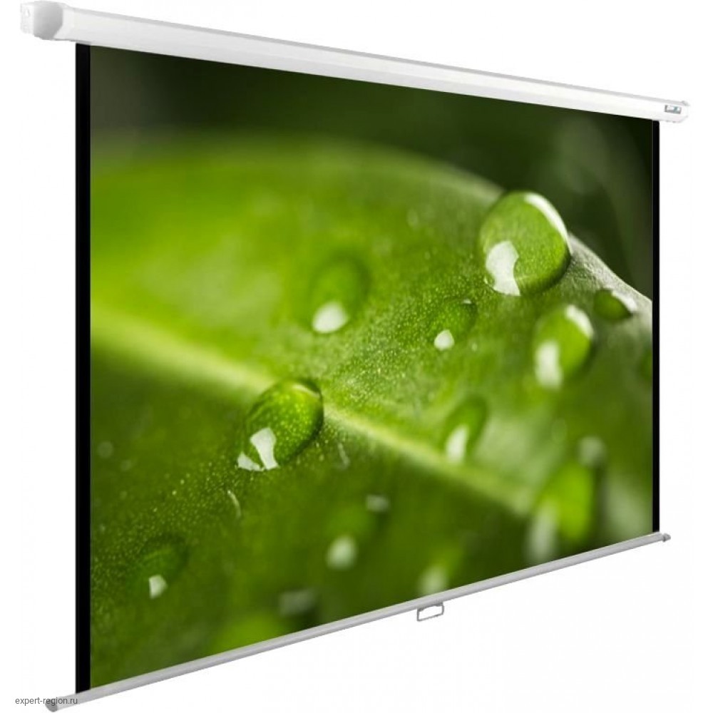 Экран для проектора cactus. Cactus 150x200см WALLEXPERT CS-PSWE-200x150-WT. Экран Cactus 152x203см Wallscreen CS-PSW-152x203 4:3 настенно-потолочный. Cactus CS-PSWE-200x200-WT. Cactus CS-PSM-180x180.