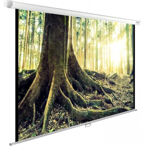 Экран настенно-потолочный Cactus WallExpert 220x220см (CS-PSWE-220X220-WT)