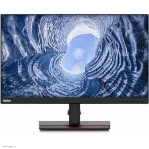 Монитор 23.8" Lenovo  ThinkVision T24i-20 (61F7MAT2EU) 