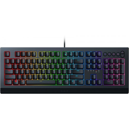 Игровая клавиатура Razer Cynosa V2 RZ03-03400700-R3R1