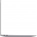 Ноутбук 13.3" Apple MacBook Air 13 Late 2020 [Z1250007N, Z125/4] 