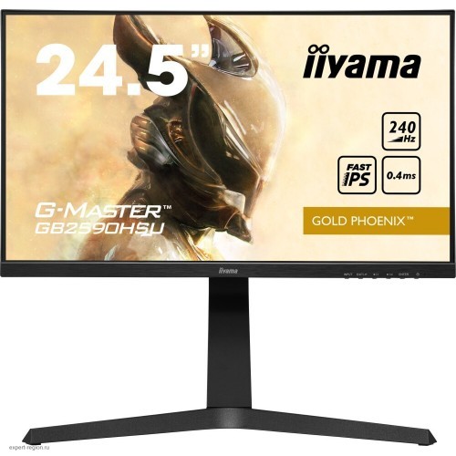 Монитор 25" Iiyama G-Master (GB2590HSU-B1)