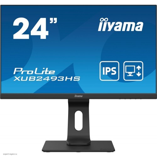 Монитор 24" Iiyama ProLite (XUB2493HS-B4)