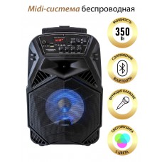 Портативная акустика National NSM-V100