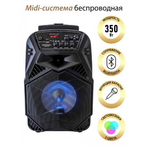 Портативная акустика National NSM-V100