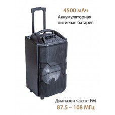 Портативная акустика National NSM-V550