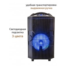 Портативная акустика National NSM-V550