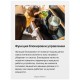 Индукционная варочная поверхность Hansa BHI 36277