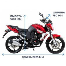 Мотоцикл Racer RC250СК Nitro (красный) Россия