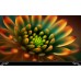 Телевизор 65" (165 см) Top Device TDTV65CS06UBK