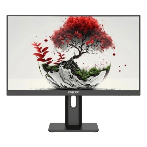 Монитор 27" RDW Computers RDW2701K(F00B0) IPS FHD(1920x1080) 75Гц D-Sub, HDMI, DP