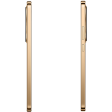 Мобильный телефон Honor X9d 5G 12/256GB терракот (Reddish Brown)