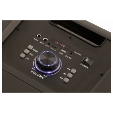 Портативная акустика GoldStar GPA-608