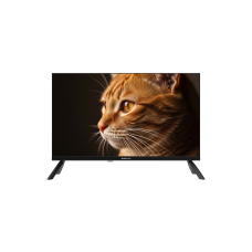Телевизор TopDevice TDHTV24NHD BK