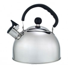 Чайник Добрыня DO-2903 (2.5л) газовый нержавейка