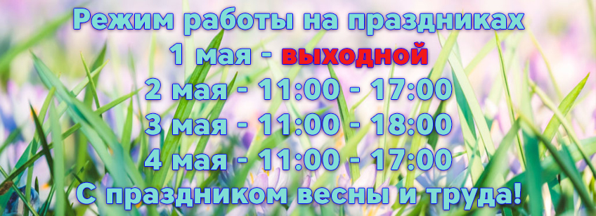 1may